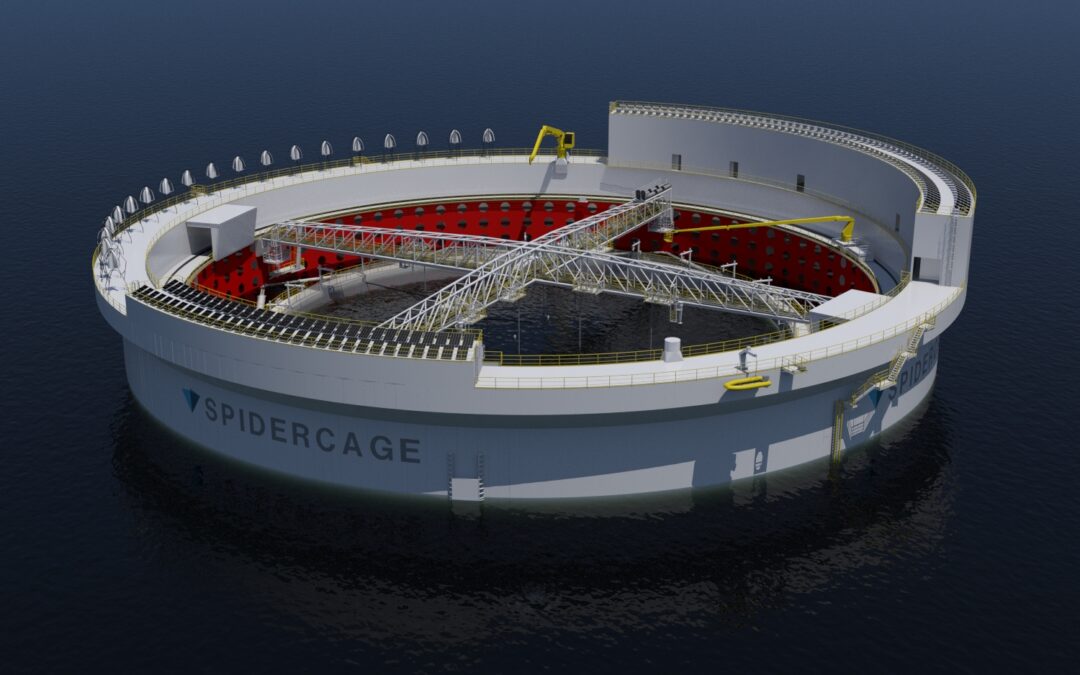 Spidercage FEED project