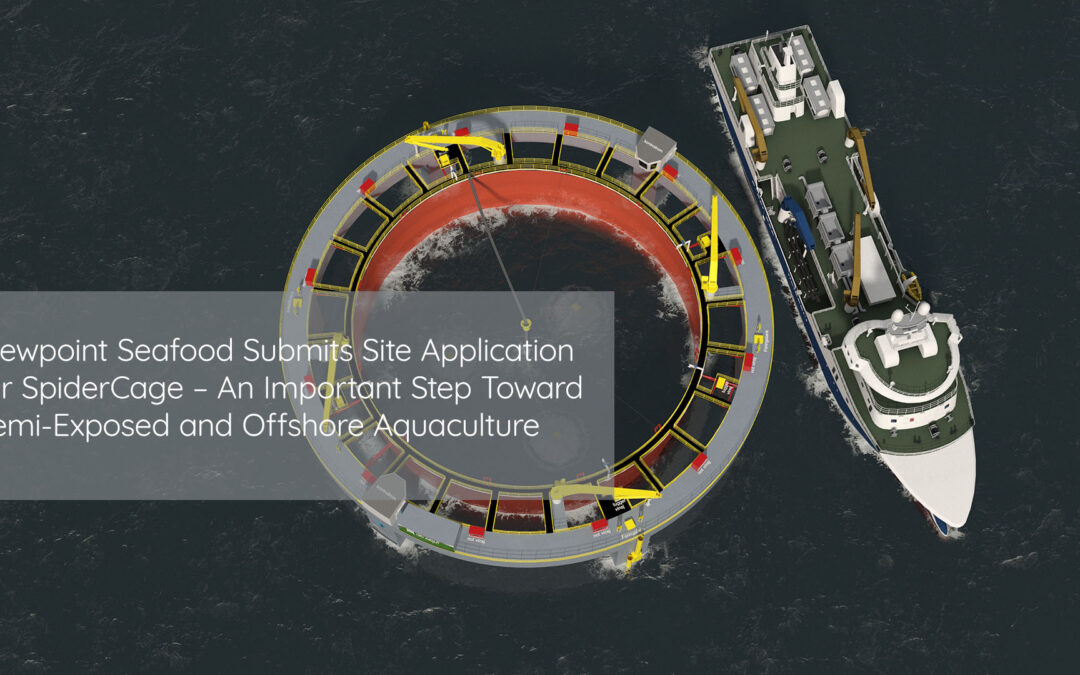 Viewpoint Seafood Submits Site Application for SpiderCage